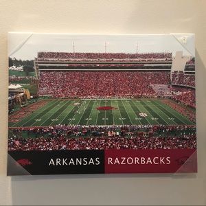 Arkansas Razorback Football Stadium Canvas Print